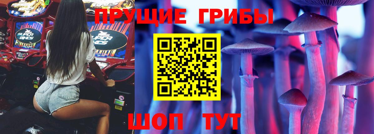 Чистополь  Галлюциногенные грибы Psilocybine cubensis  Вход с VPN 